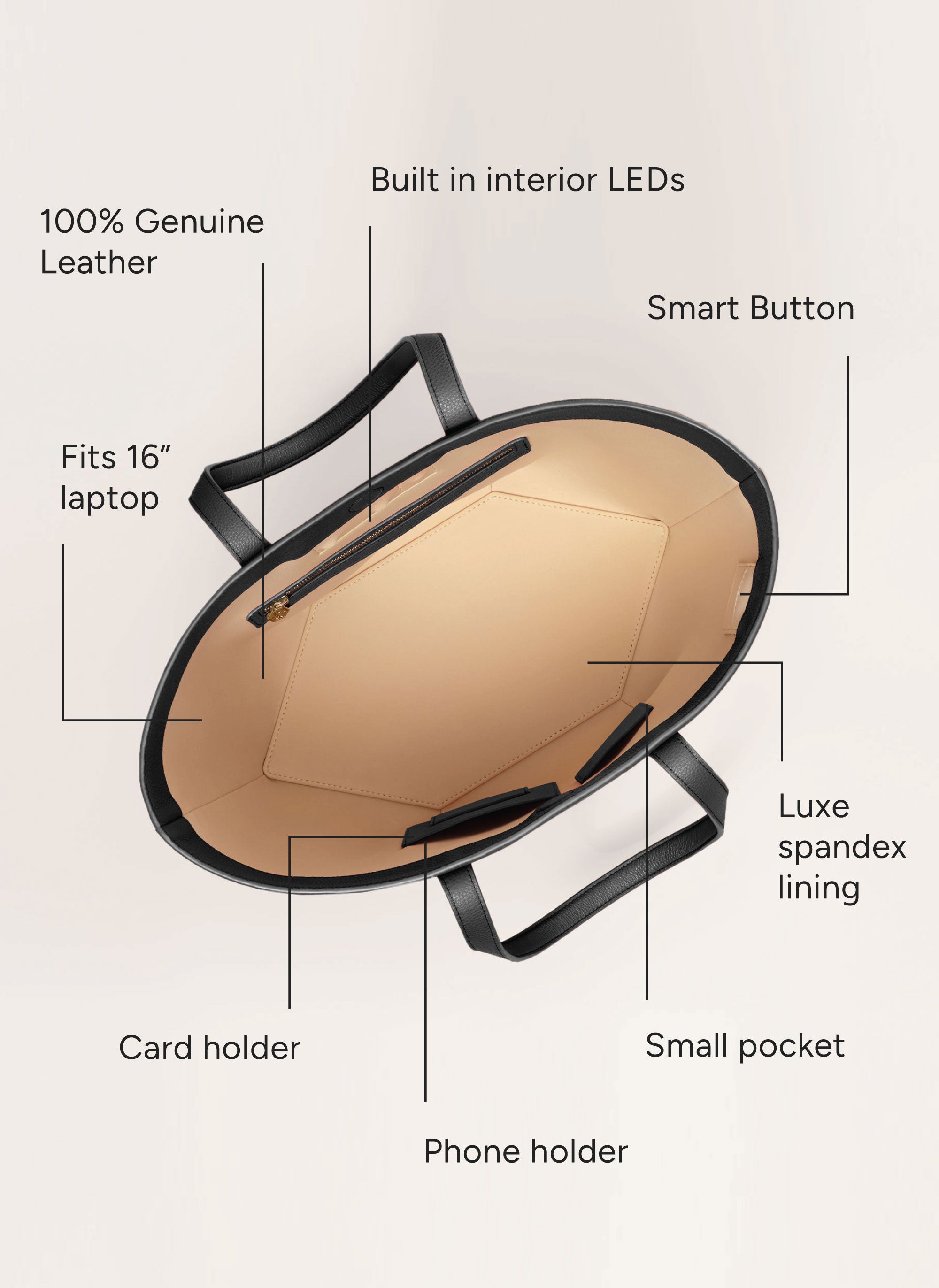 ExpertXL-Carryall-Graphic2.jpg