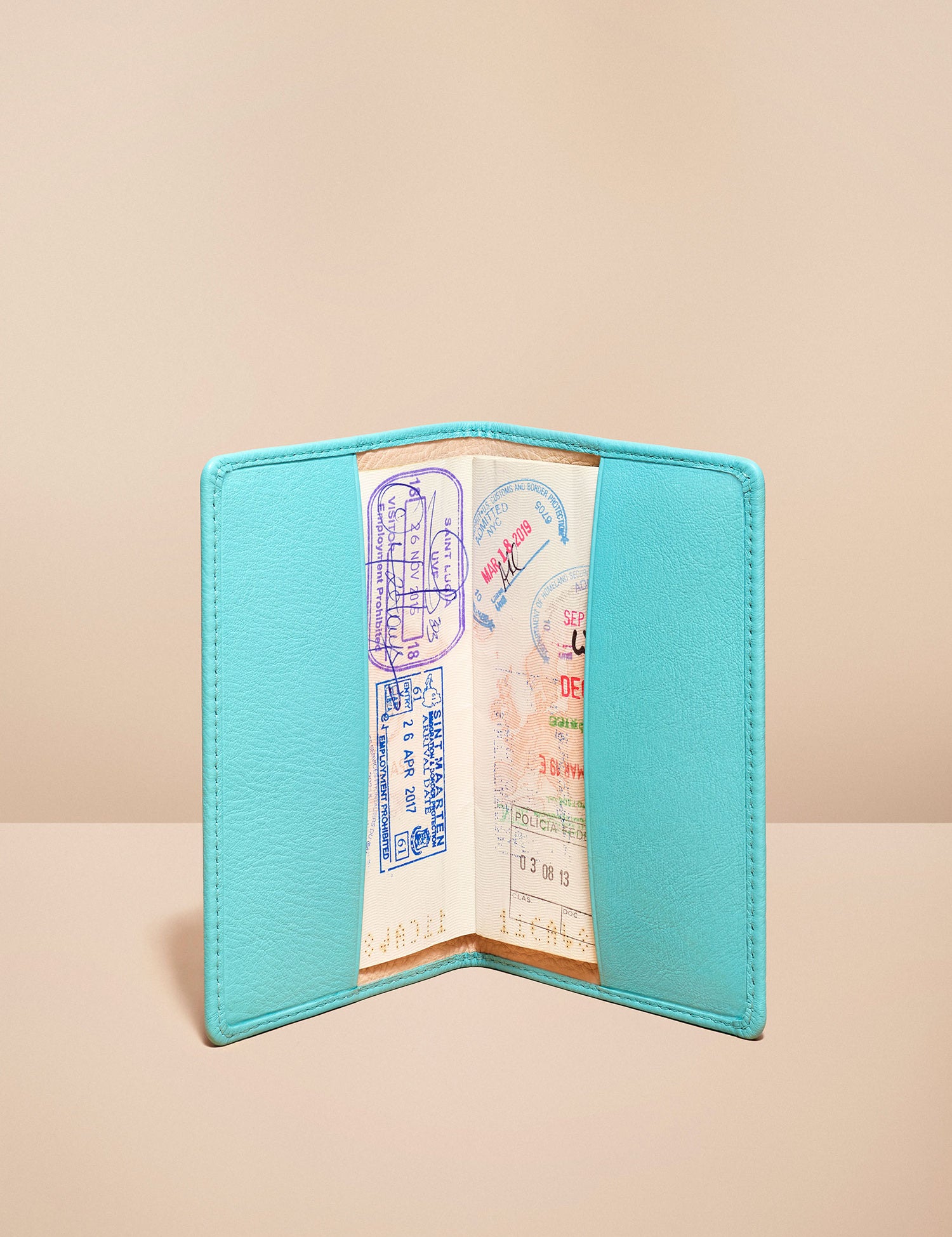 blue passport holder